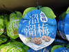UM羯