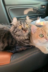 Puilui 鷹野湯温泉　パレス松風 クーポン