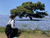 えなp