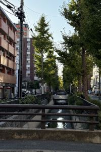 Bina_ ホテルゆめや クーポン