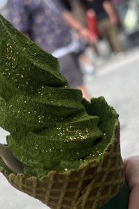 Hyfecnkdcv 天野橋立日式旅館優惠