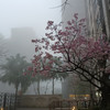 MO FEN