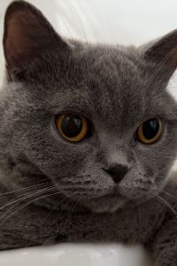 Applehong0509 香港灣仔八十八酒店優惠