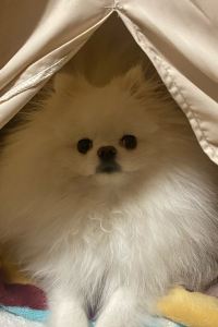 소미소미최고 ホテルラフィーネ 難波店 (大人専用) クーポン