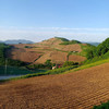 文峰