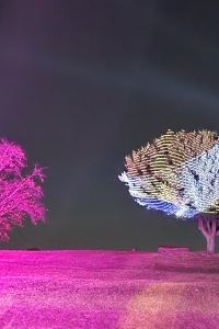 Reina9844 西面登巴斯塔中央飯店優惠