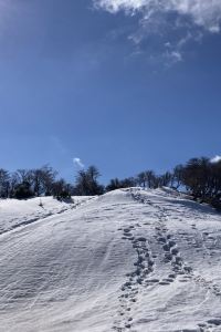 ひねもす 神戸 西神オリエンタルホテル クーポン