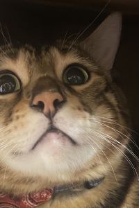 Liao yun hsuan 法堤商旅優惠