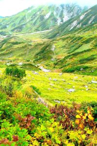 だる 熊本機場維斯塔飯店優惠