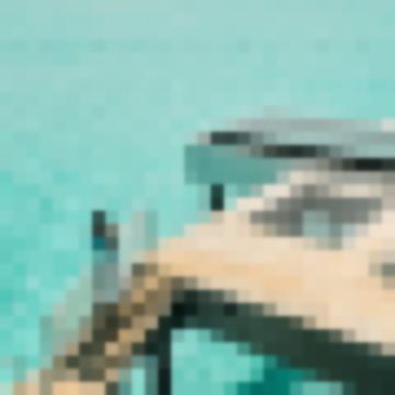 초초니