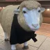 日々を旅する40の羊