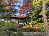 hikariannna