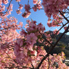 kchan_