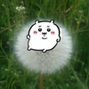 Deebie