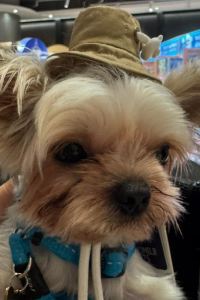 Sang1570 知鄉舍飯店-姬路夢前橋優惠