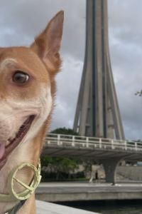 Momoo17 星際酒店優惠