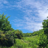 라세린