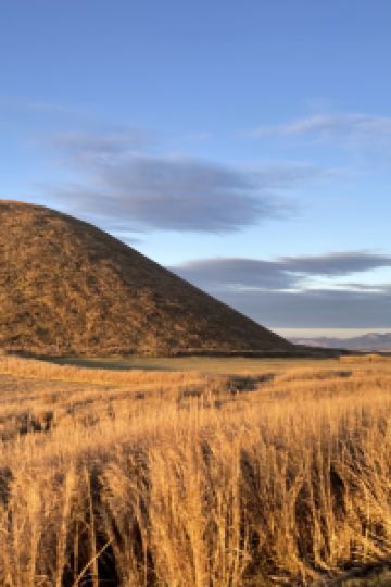 Joannejoc ねどこ大阪ウエスト クーポン