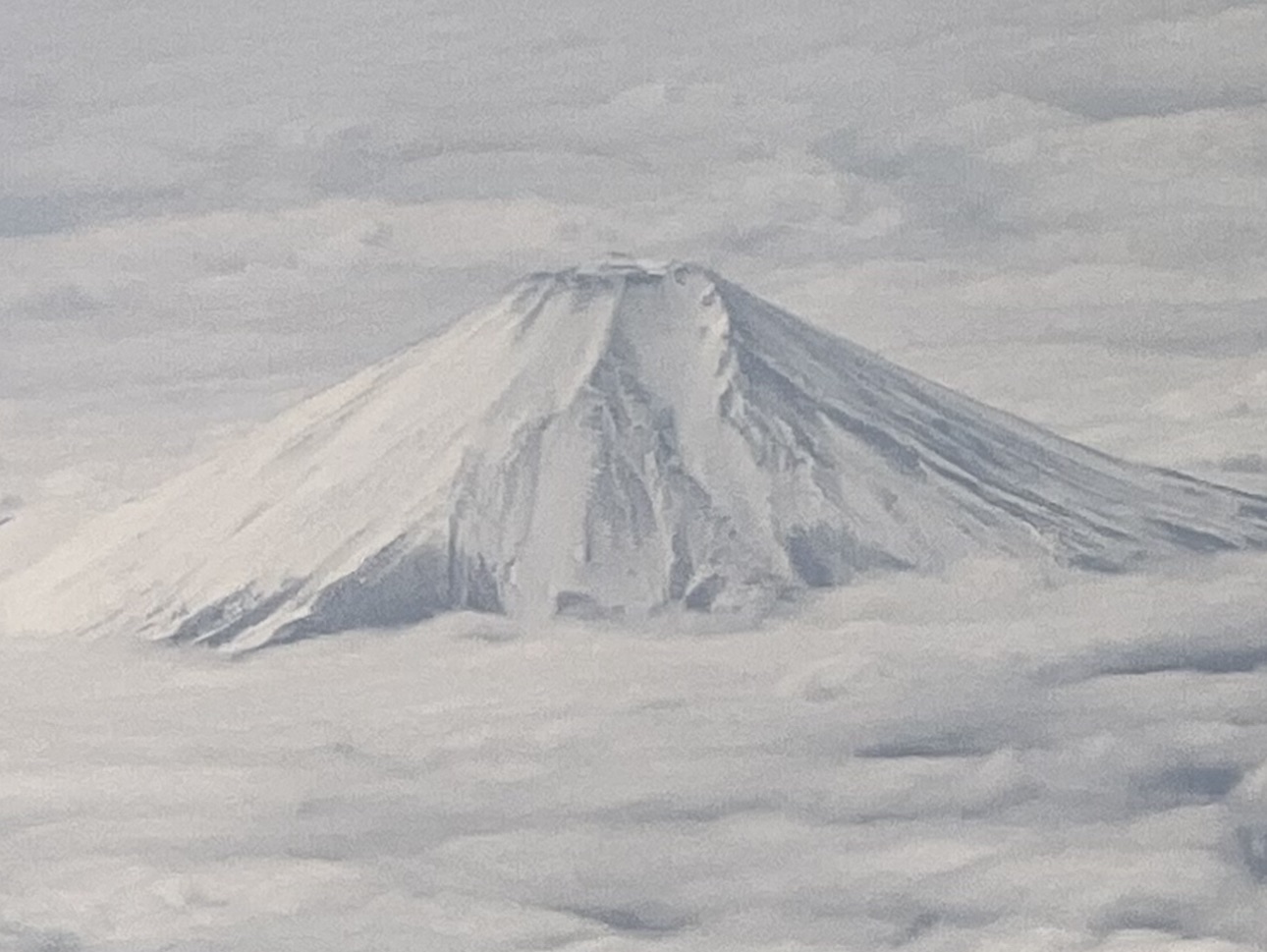 kimrerurobi