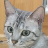 おさるん
