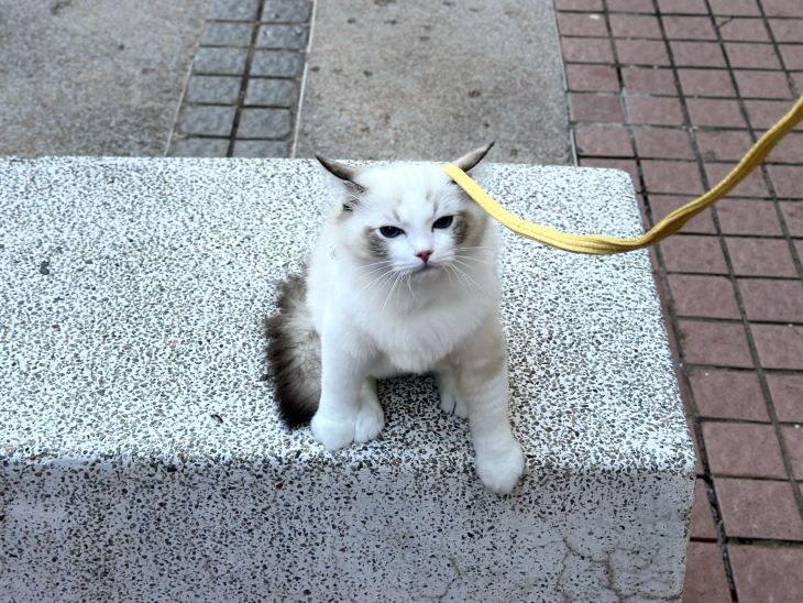트립닷컴 회원