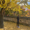 까리한 용