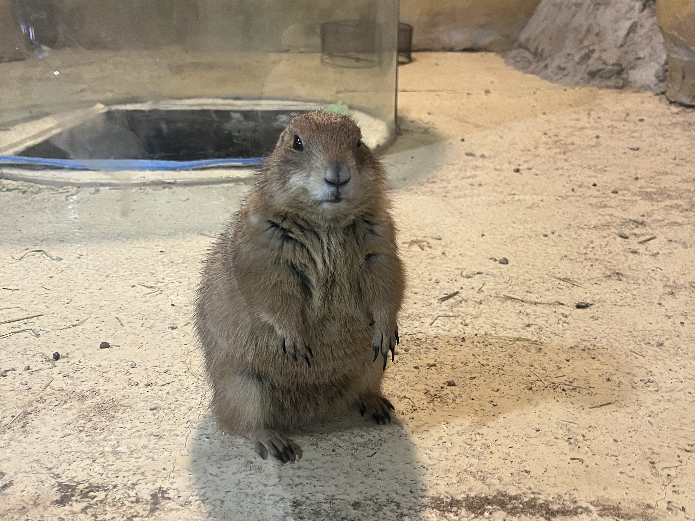 高鐵