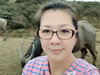 Liling Judy Wang