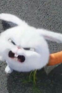 訪客用戶 莫瑞斯晨飯店優惠