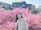AnninAxTrip