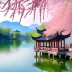 及格分过