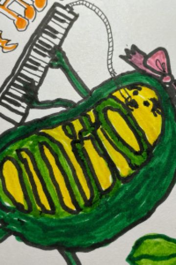 ゲスト BOOK HOTEL 神保町 クーポン