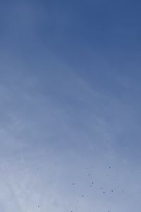 Ti blue 台北北投天玥泉會館優惠