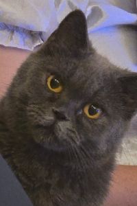 skl Wei Cheng 花蓮美侖大飯店優惠