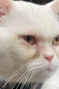 超愛出遊放鬆的人 素萬那普威樂機場酒店優惠