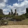 Avatar 1