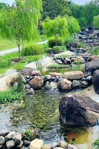 Tummy Travels 迪沙魯阿曼薩里酒店優惠