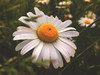 Slowtravelling