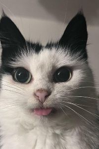 Bobbyca 湄公河景觀 3 公寓酒店優惠