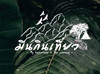 มีนกินเที่ยว