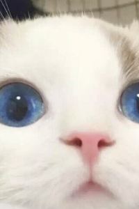 唐雅琼 竜ヶ崎プラザホテル本館 クーポン