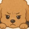 user-icon