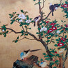 黒犬