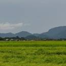 zhansheng