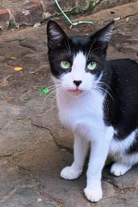 myksh ホテルウィングインターナショナル 名古屋 クーポン