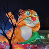 昨天在美好，也回不去了，努力前行吧！