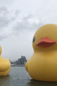 雄Hung 卡羅精品酒店（深圳東門步行街曬布地鐵站店）優惠