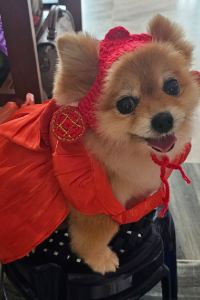 Yvonne12 吉隆坡國際機場航空城圖恩酒店（機場酒店）優惠