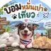 บอมหมั่นเปา