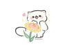 Risu.y